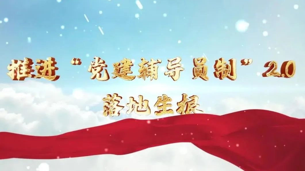  党建经营融合十佳案例④ | 西南水泥——“领导员造”+“进建型组织”，让党建成为看得见的“出产力” 